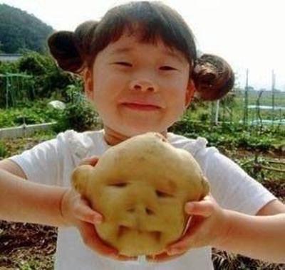 このジャガイモ、私にそっくり！ 全国に広まったニュースの彼女は19年後 ：中日新聞Web