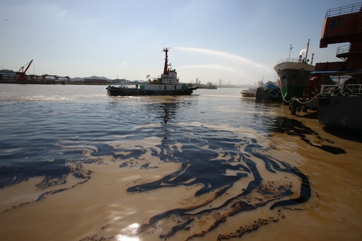 特集 世界各地の水質汚染 写真29枚 国際ニュース：AFPBB News