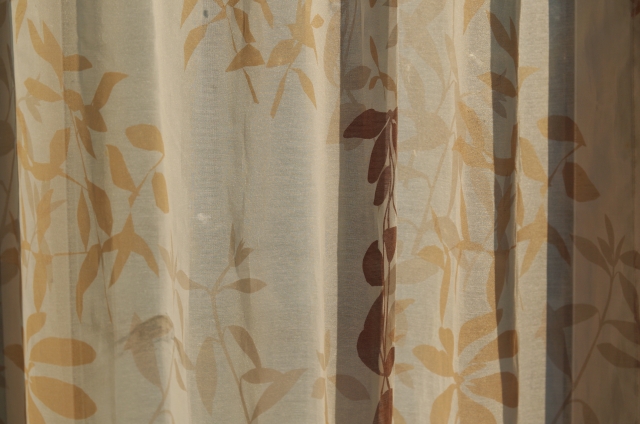 レースカーテンの洗濯 オキシクリーンを使った洗い方をレビューきれい真っ白に！ぽちころのカーテンブログ