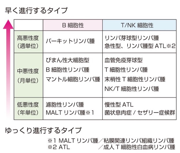 悪性リンパ腫の症状」はご存知ですか？初期症状・末期症状も医師が解説！メディカルドック