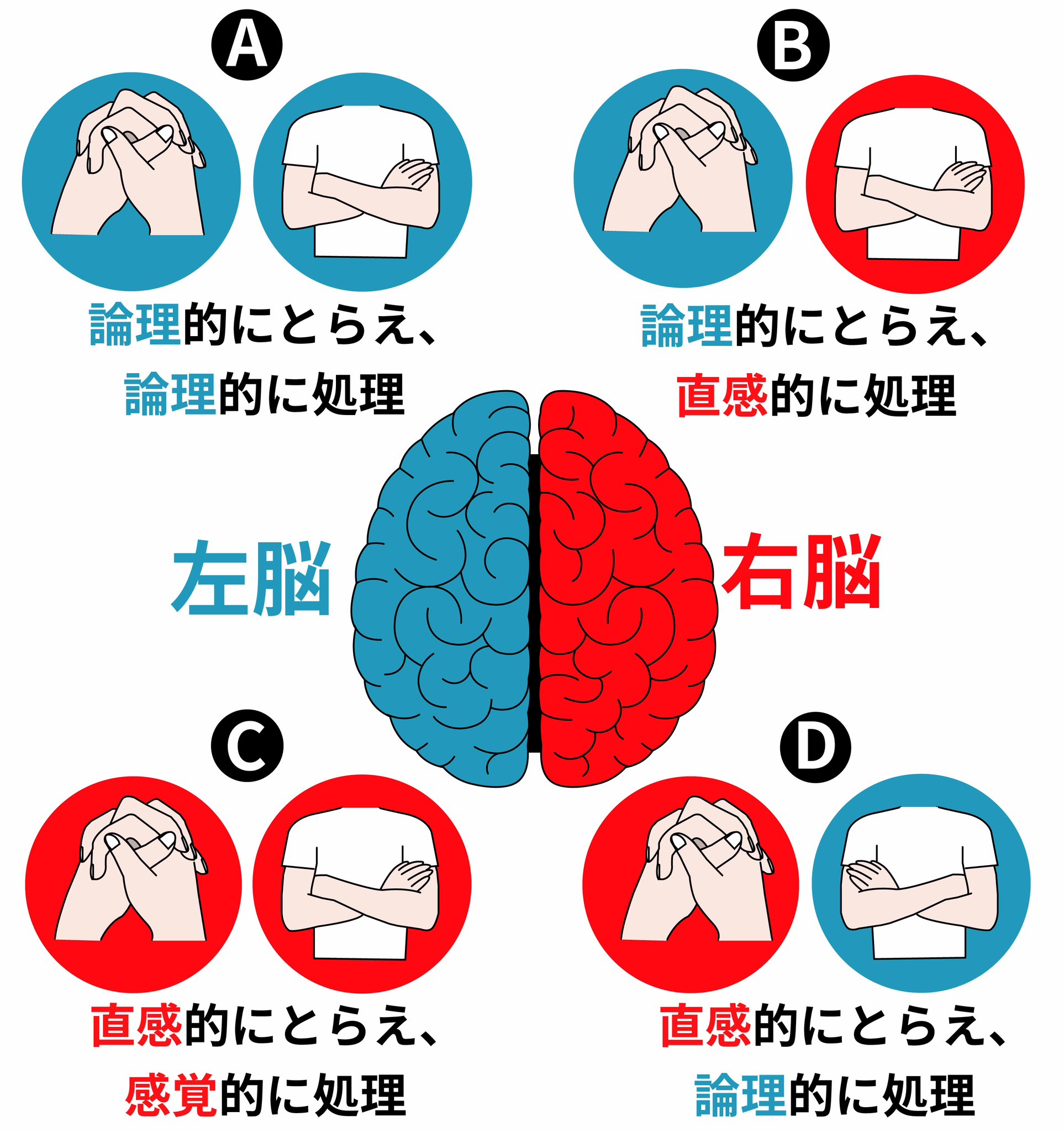 4パターンの「利き脳」で分かる、自分に合った収納方法。あなたはどのタイプ