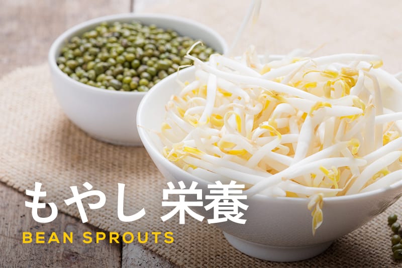 酢もやしの驚くべき健康効果でラクに疲労を回復しよう！CHANTO WEB