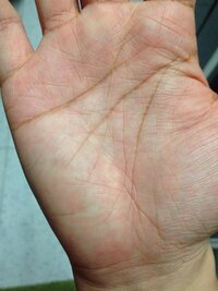 手相の四角紋 スクエア の意味21選！シャープ・ひし形・井の字Spicomi