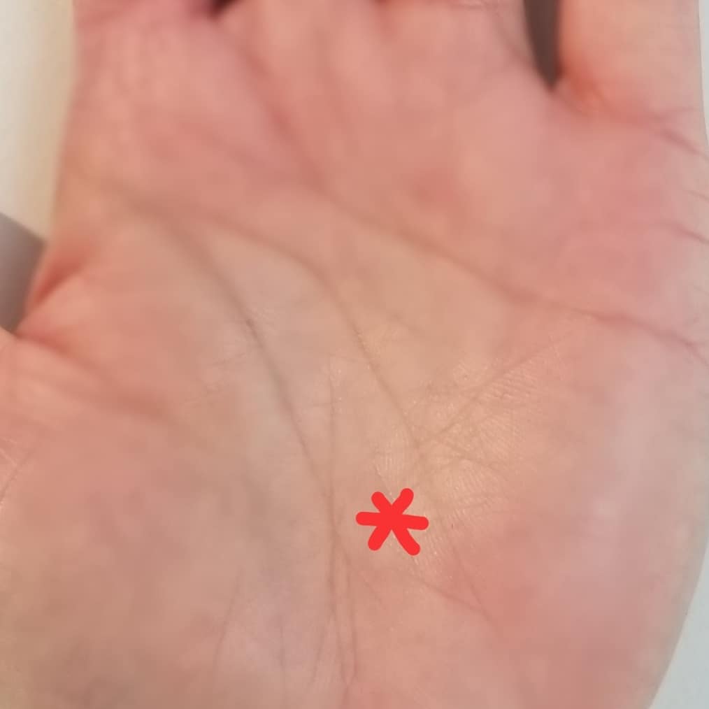 太陽線の有無で成功運、人気運がわかる 手相開運術 福岡市占いの館 宝琉館 四柱推命・易占・手相・姓名判断・風水・引っ越し方位福岡占いの館対面鑑定の宝琉館 ほうりゅう館