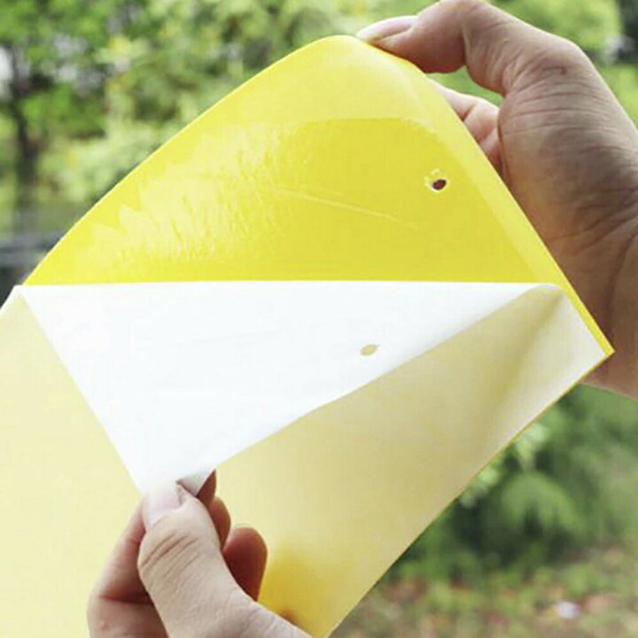 天使のスキンベープジェルプレミアム ワンワン フマキラー 虫除けホームセンター通販はDCMオンライン