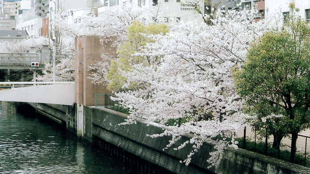 東京散策65-1 船堀の新川に架かる江戸風情漂う橋巡りに行ってきました』葛西 東京 の旅行記・ブログ by jh2fxvさん フォートラベル