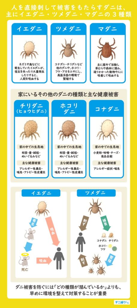 ダニを知る 生態や種類について紹介すぐくる！総合リビングサービス 株
