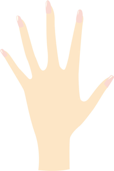 女性の指の長さは「性的指向と関係」か＝英研究' - BBCニュース