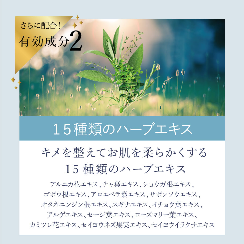 サンナチュラルズ スーパーJ オールインワン リッチセラム 100ml×2本 美容液