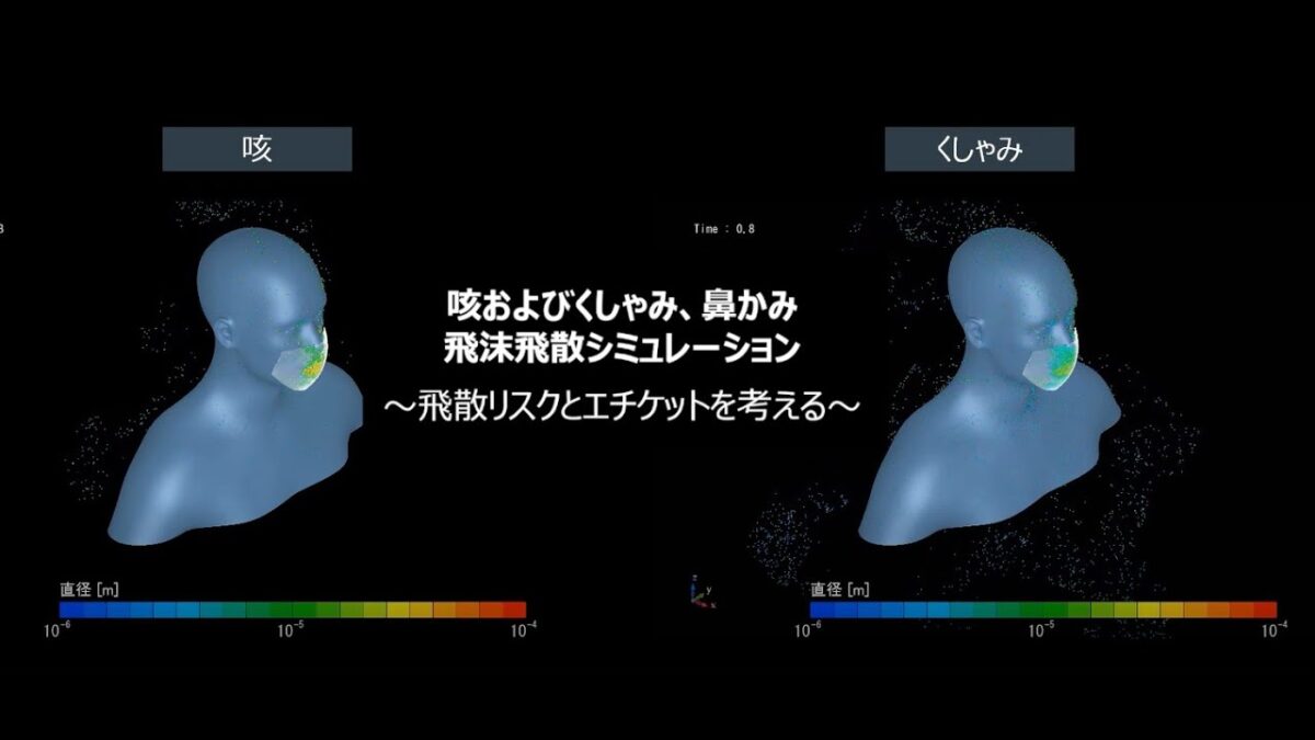 くしゃみのクセ – ニャングウェイのブログ