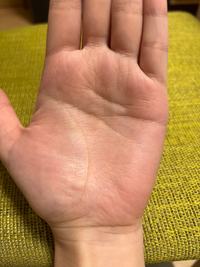 手相 感情線 2本 切れてるTikTok