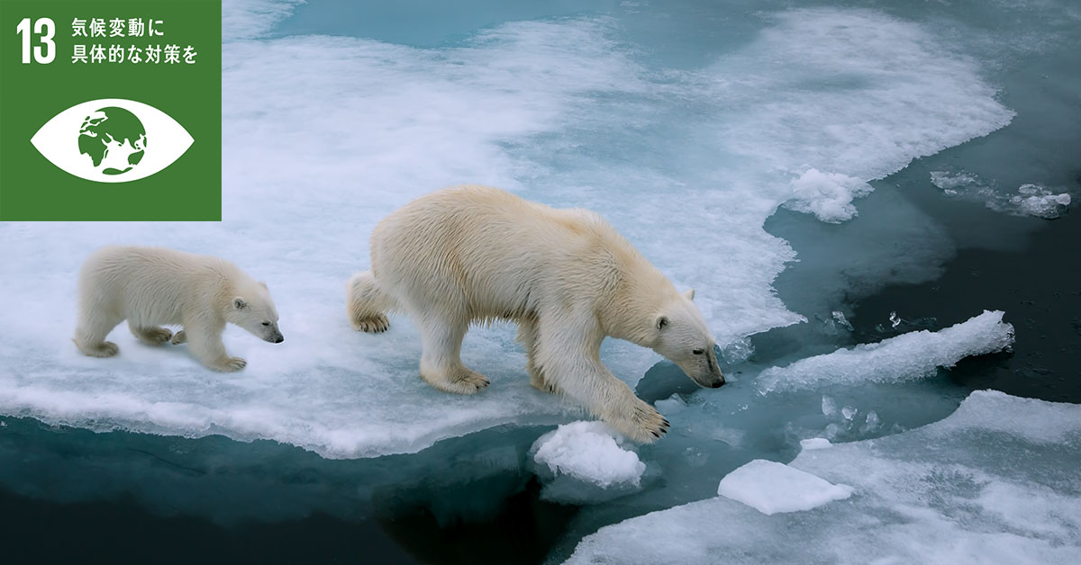 加速する気候変動私たちの未来のために今できること ecojin エコジン ：環境省