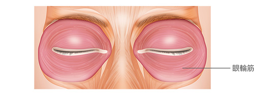 お金をかけない整形？「ぷくっとした涙袋」のための眼輪筋トレーニングヨガジャーナルオンライン