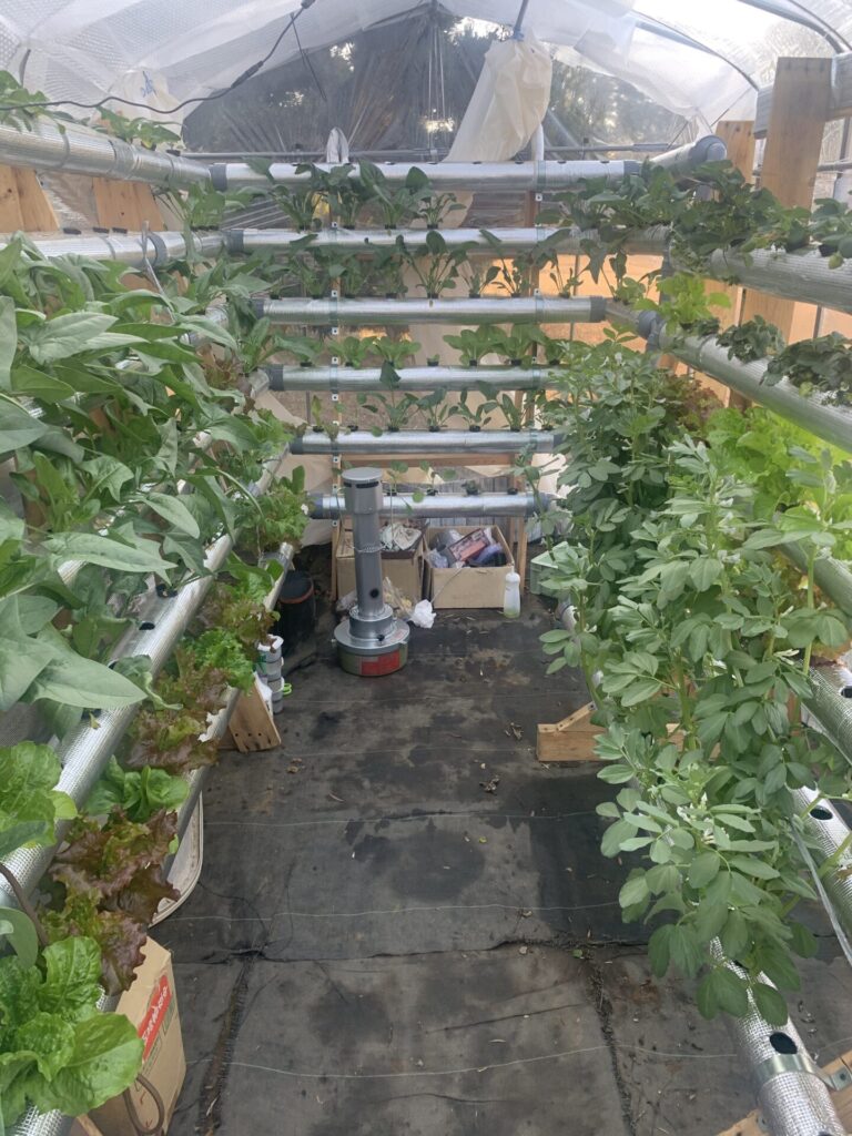 家庭用の小型ビニールハウス・おしゃれなミニ温室おすすめ24選農業・ガーデニング・園芸・家庭菜園マガジン AGRI PICK