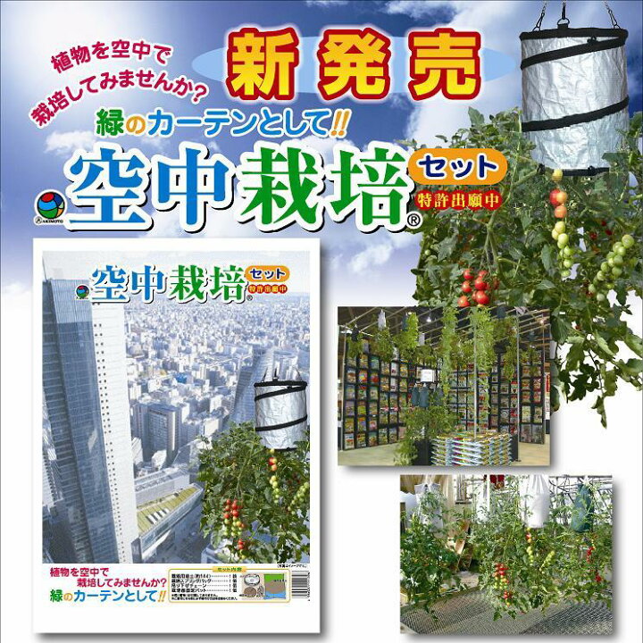 家庭菜園あるある？どんどん買い足してスペースが無くなってきた時の救世主 逆さ栽培Mr.行ってみよう！！が投稿したフォトブックLemon8