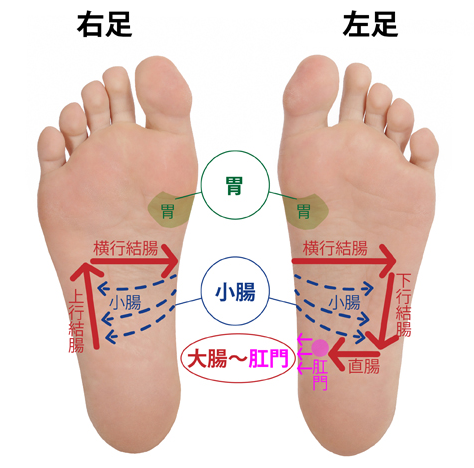 足ツボ 図解 表