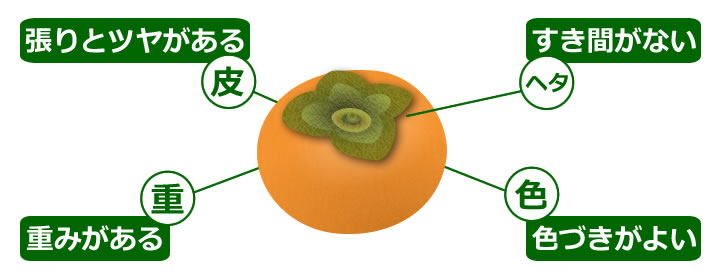 フェイクニュースの見分け方新潮新書烏賀陽 弘道 本通販Amazon