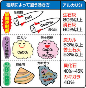 有機石灰と苦土石灰、結局何が違う