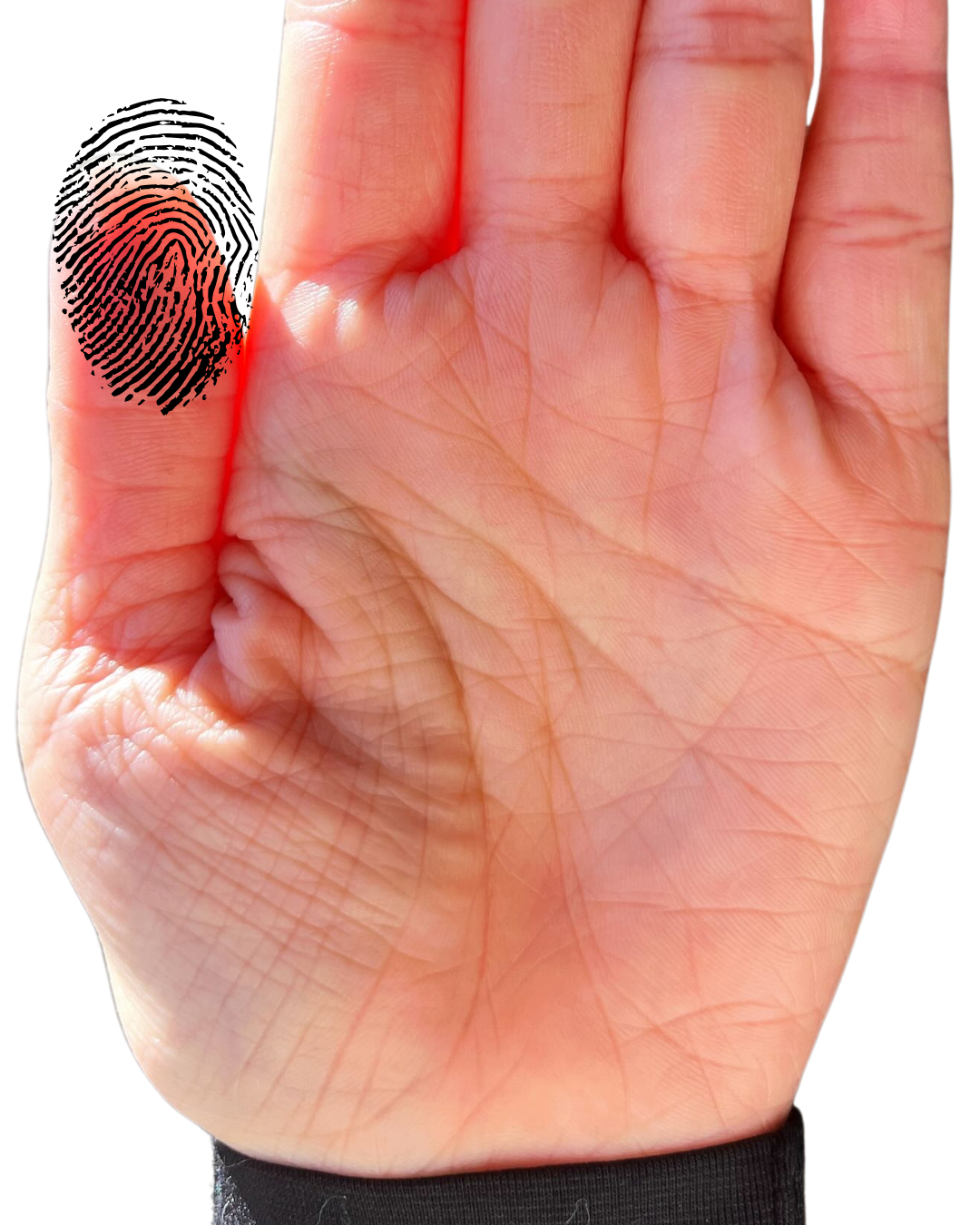 手相の見方・マスカケ線の本当の意味 - 銀座の手相占い師 及川遼