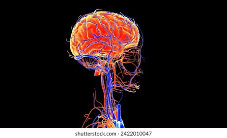 脳の検索結果かわいいフリー素材集 いらすとや
