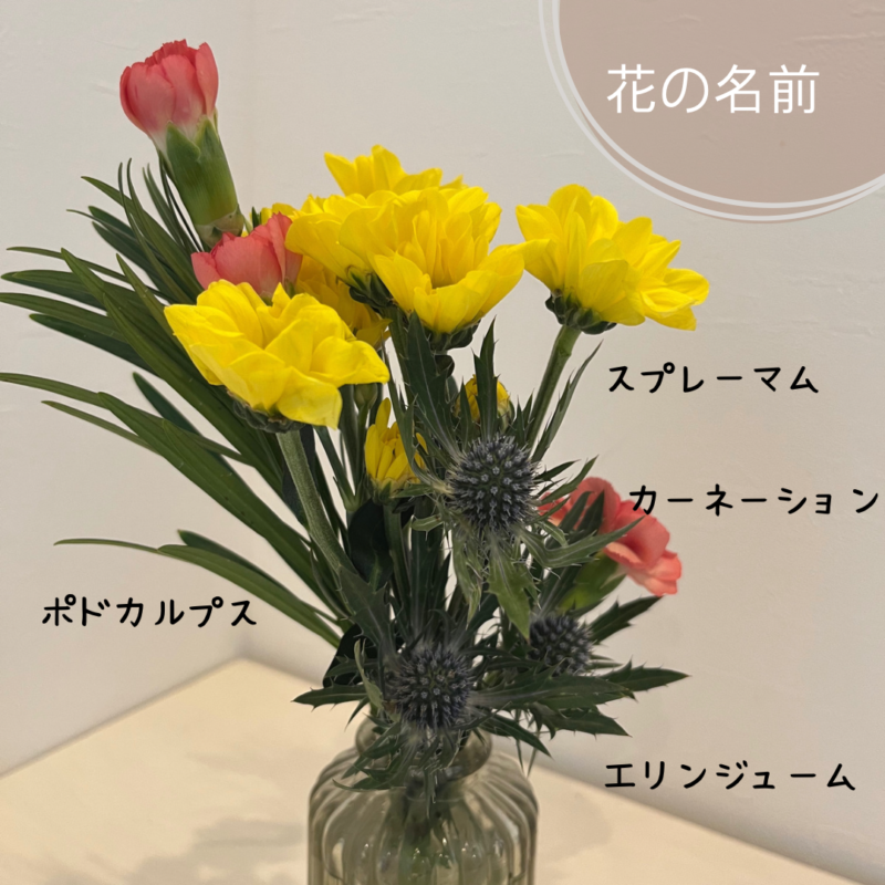 bloomee ブルーミー 旧：ブルーミーライフ の口コミ・評判 553件みん評