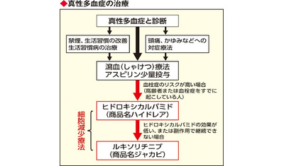 赤血球の形態異常−球状赤血球について東邦大学医療センター大森病院 臨床検査部 コラム