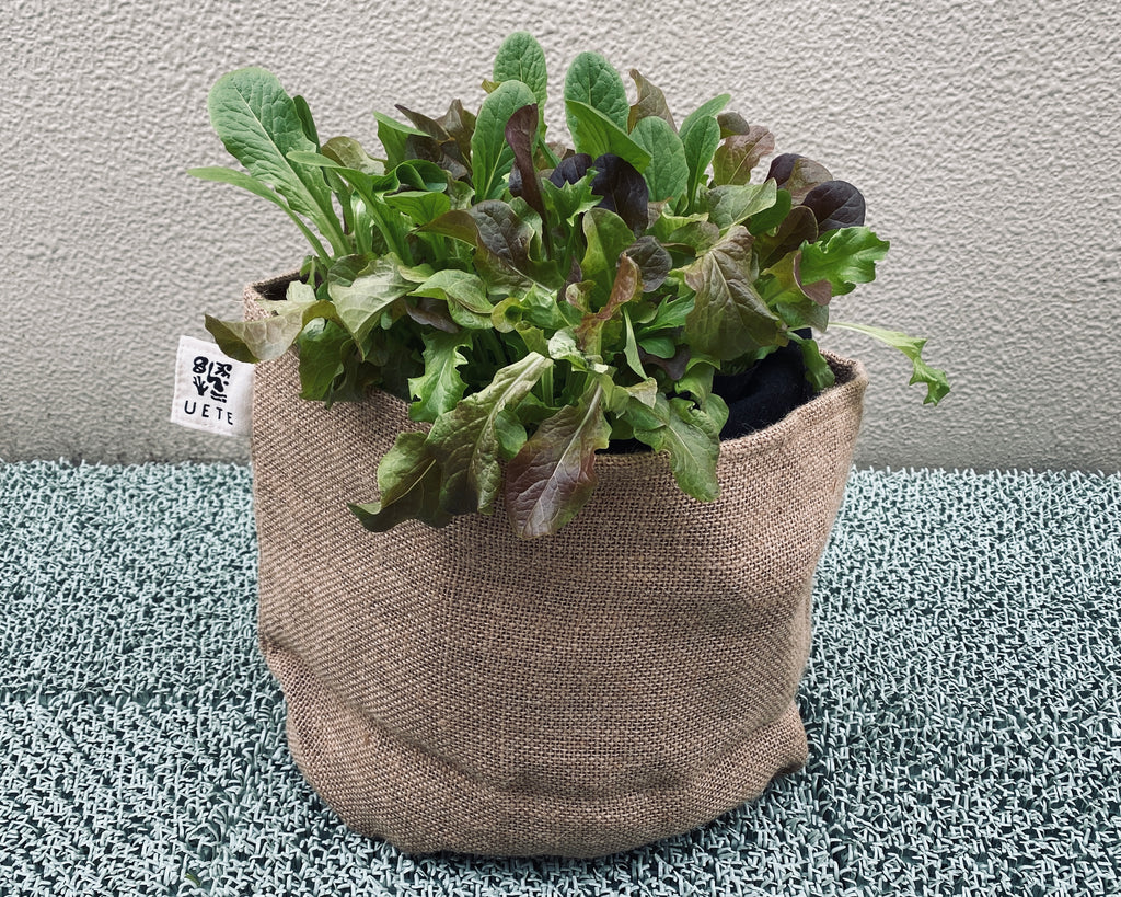 リッチェル ベビーリーフプランター ダークグレ