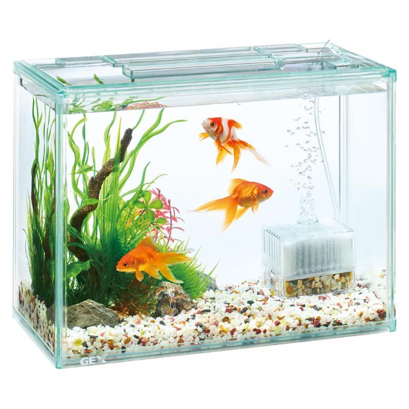 金魚 セットホームセンター通販DCMオンライン