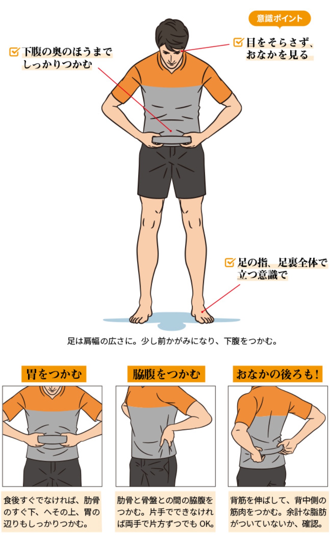 ぽっこりお腹解消！おすすめ筋トレ方法と男性女性別脂肪対策解説 - 札幌のパーソナルジム安い・女性も通いやすいダイエットなら「キースタイルフィットネス」