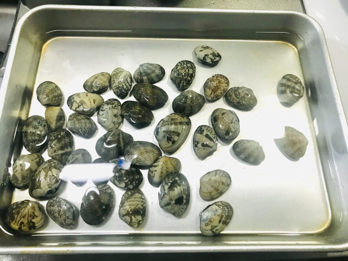 しじみバカが教える「しじみの砂抜き・保存方法」時間・準備・ポイントまで完全ガイド - しじみ料理嶋田漁業部