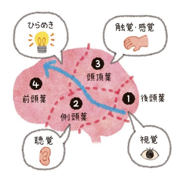 テキスト『医療通訳』の単語集を自分のものにしよう・第7回 — 脳神経系医療英語の森へ