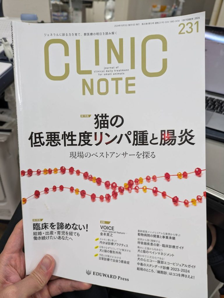 ビフォーアフター有インモードの小顔効果はいつから感じられる？│SELECT CLINIC TIPS