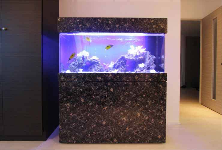 吹きガラスと天然木のオブジェMN 金魚鉢 メダカ 水槽 アクアリウム テラリウム コケリウム 花瓶 流木ガラスアジアンファクトリ