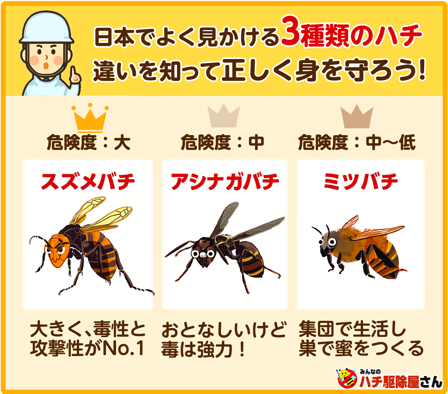 男性に聞いてわかった！「目」が女性のイメージを決めるって本当？Lidea リディアby LION