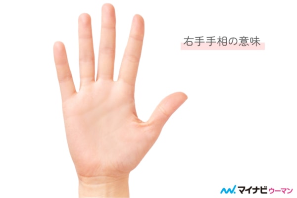 私の仏眼 手相高IQギフテッドとの波乱の日常