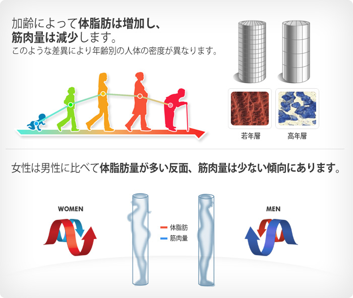 女性が惹かれる『モテる男性体型』の作り方体脂肪率16%・筋肉量80%が理想的 - 調布市のパーソナルトレーニングジム THE FITNESS