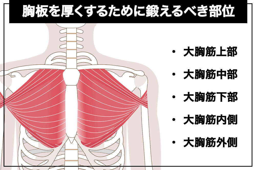 ベンチプレスが大胸筋に効かない、胸が大きくならない そんなときに見直してほしい3つのポイント
