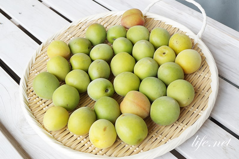 味の素KK 瀬戸のほんじお和歌山JA紀南こだわりの梅で作る”梅漬け”