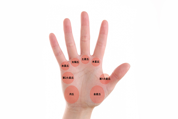 間違いだらけの手相占い手相学研究家 寺島みさお