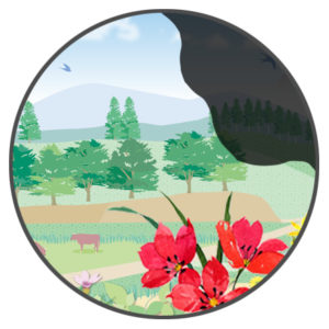 あなたは大丈夫？ 視野障害がもたらす思わぬ運転リスクとはJAF Mate Online