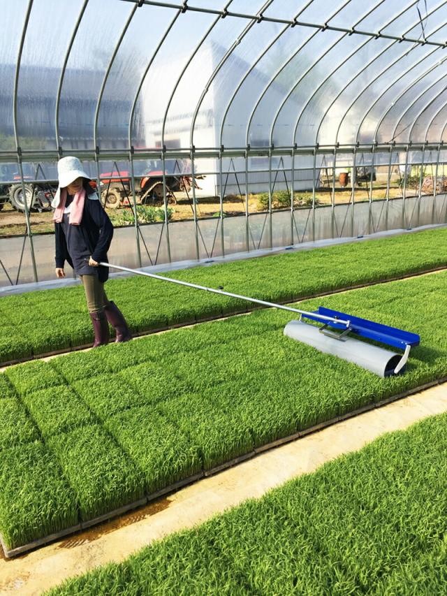 貝塚市のお庭の地面を転圧！足場も設置しました！岸和田、和泉市で屋根の補修・リフォームなら街の屋根やさん