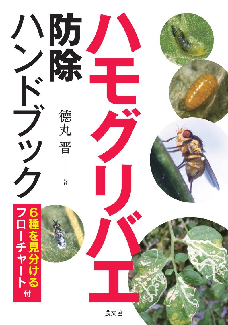 ハモグリバエの駆除・対策幼虫の被害は？天敵はなに？🍀GreenSnap グリーンスナップ