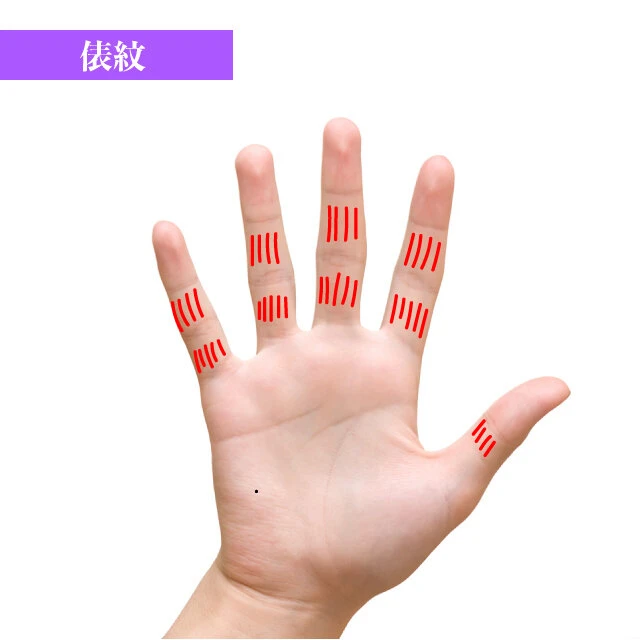 手相手相占い手相鑑定仏眼線TikTok