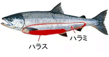 鮭はらみの魅力とレシピ2025 年のリアルなLemon8ユーザー体験