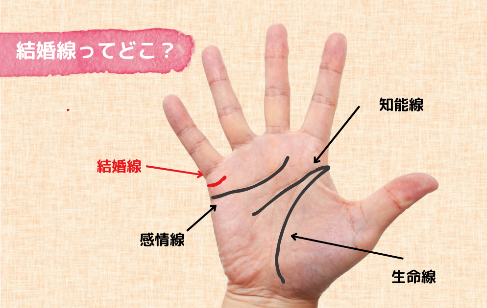 手相占い 感情線でわかること！手相の意味や見方を解説 -セキララゼクシィ