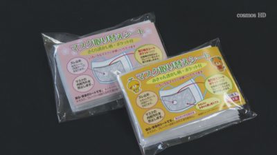 コスモスのPB「StandarDay」でシンプルでおしゃれ！おすすめ６選！hachiko85ライフ