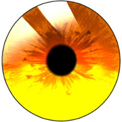 19,700点を超える黄色い目のストックフォト、写真、そしてロイヤリティフリーの画像 - iStock