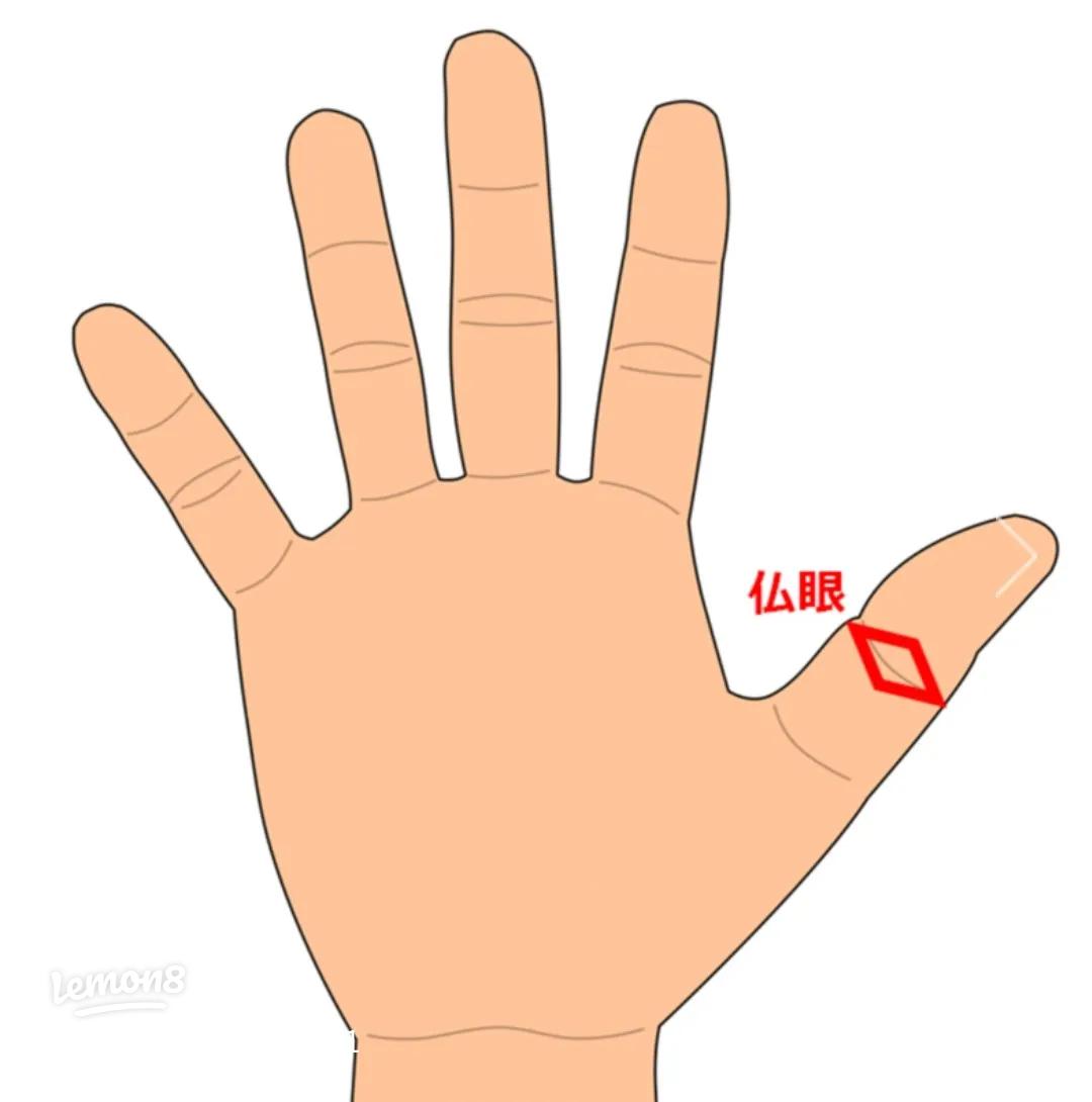 福の神の相「あげまん線」の手相占いTikTok