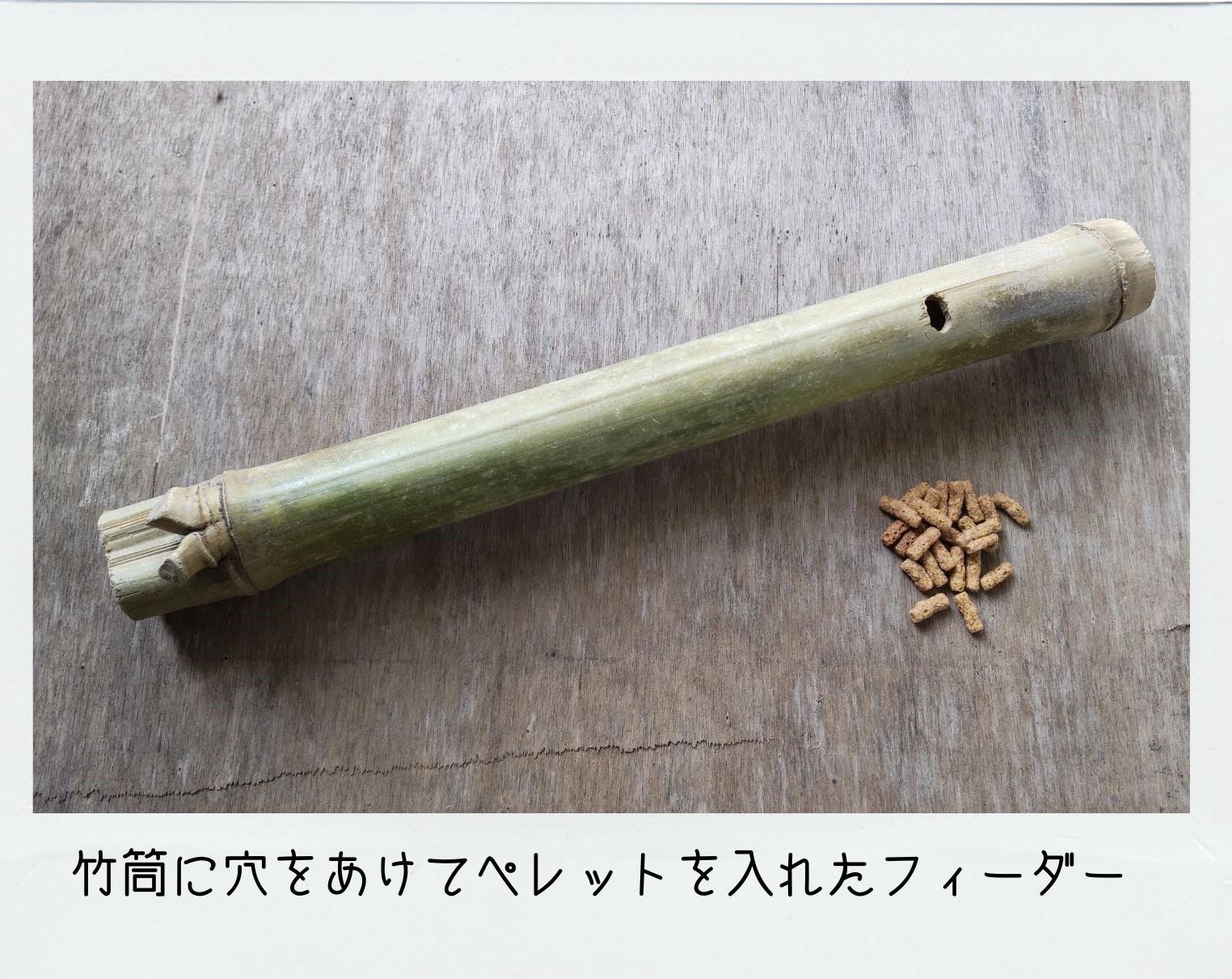 ドンキ西条玉津店✨💥今年初めの運試しに!?💥ドンキの福くじ‼🌸🌸🌸MEGAドン・キホーテ西条玉津店のニュースまいぷれ 西条市