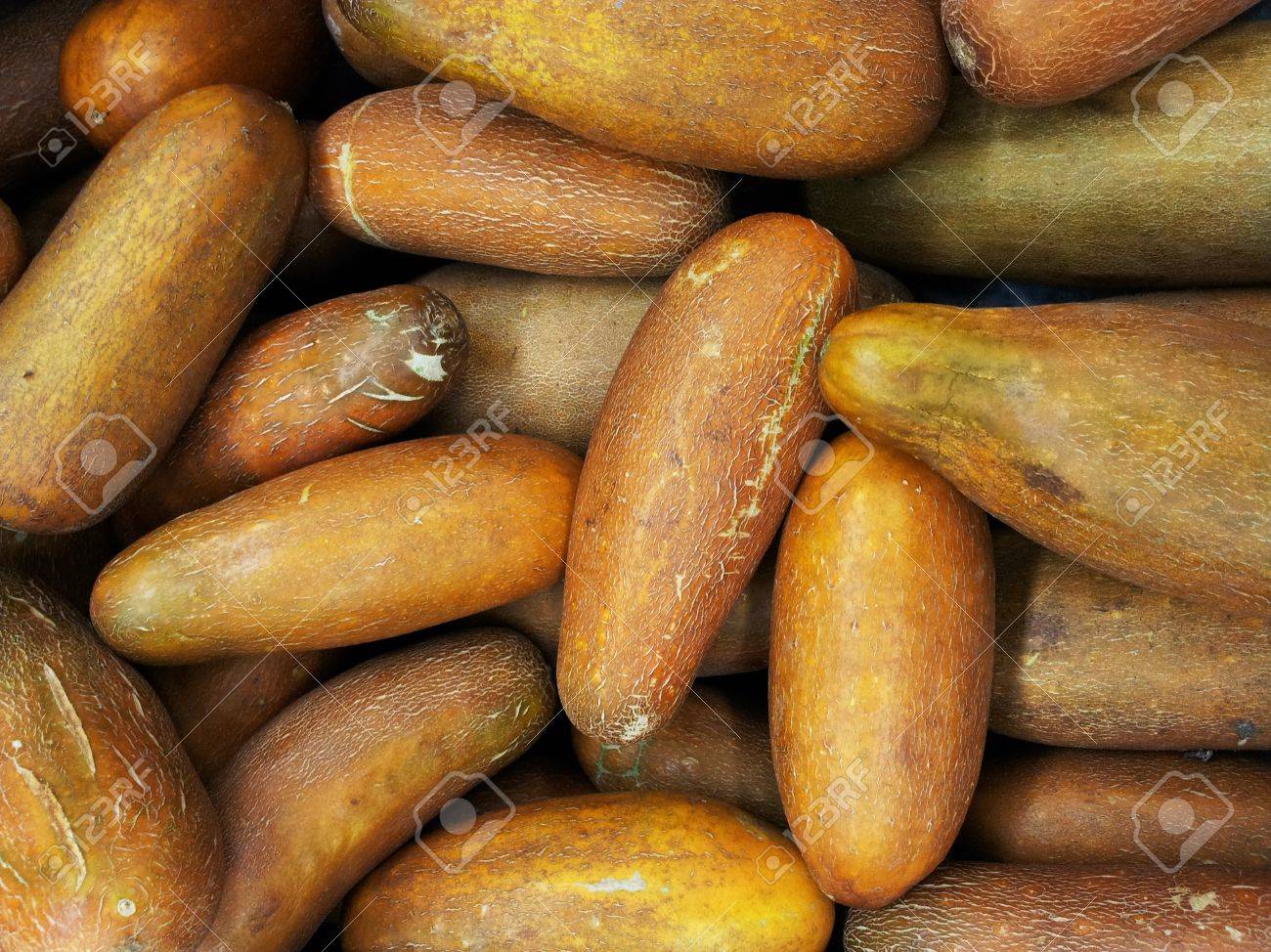 べと病の特徴と対策を農家が解説。野菜の葉に黄色い斑点が出たら要注意 畑は小さな大自然vol.84 マイナビ農業